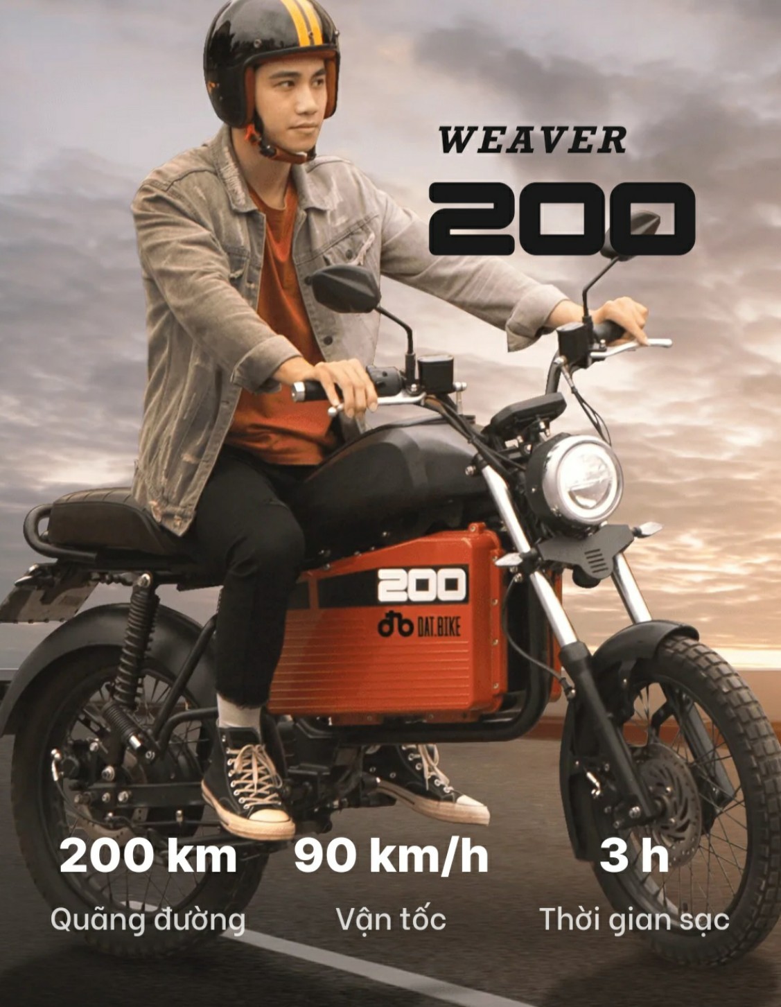Xe điện Weaver 200 Dat Bike giá phân phối đại lý